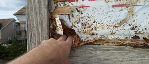 Common Reasons for Wood Rot